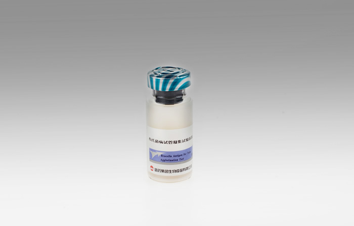 Negative serum of brucellosis test tube agglutination test